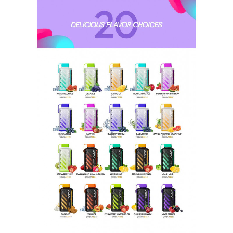 VOZOL Gear Power 20K